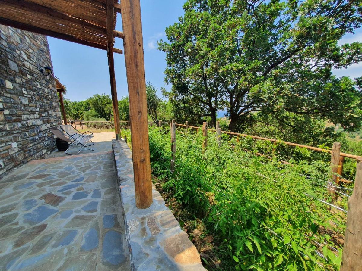 Agriturismo Le Terre di Veneré Acciaroli Exterior foto
